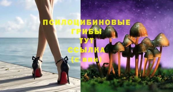 мет Арсеньев