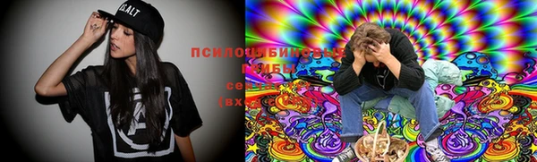 мет Арсеньев